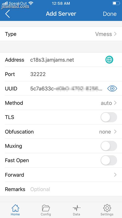 Enter v2ray Connection Details in Shadowrocket