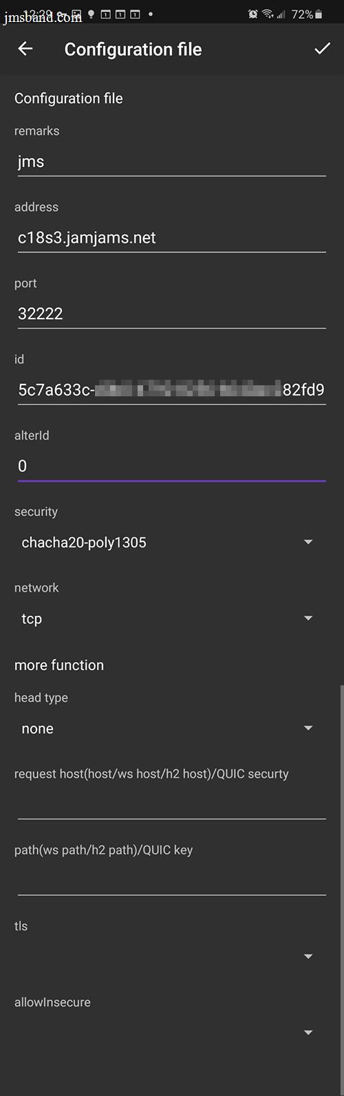 Entering V2ray Connection Details